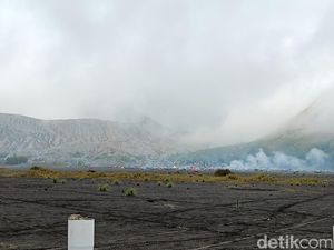 Fenomena Frozen di Gunung Bromo Rawan Rusak Tanaman Pertanian
