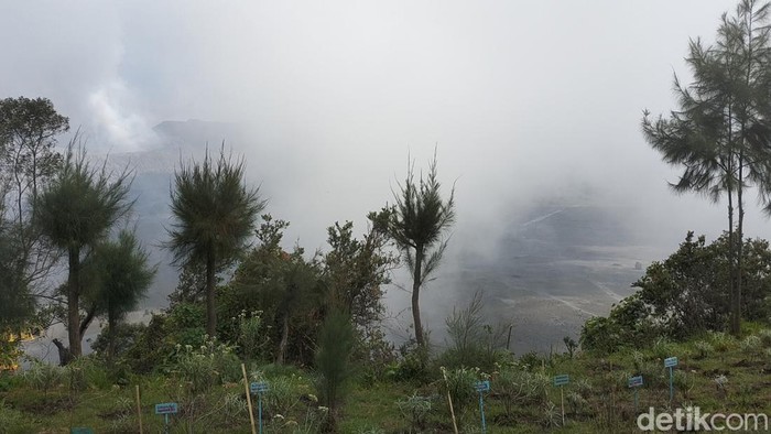 Fenomena Frozen atau embun salju di Gunung Bromo