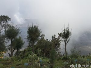Fenomena Angin Gending di Probolinggo, Kecepatan 26 Km dari Gunung Menuju Laut