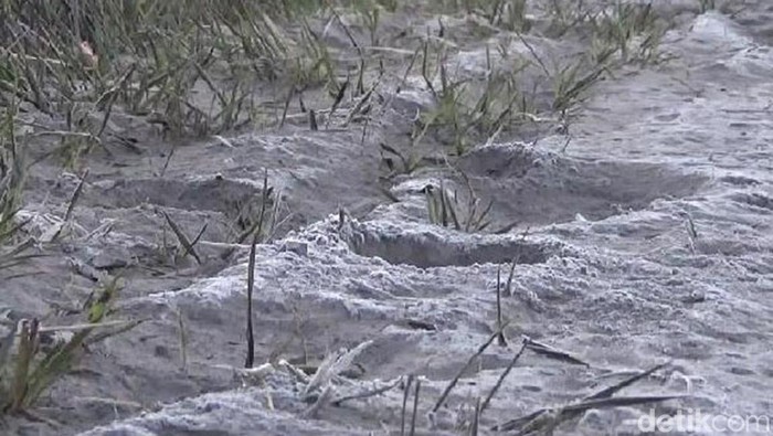 Kawasan Kaldera Gunung Bromo yang semula berupa hamparan pasir kini diselimuti salju. Fenomena salju di Bromo tersebut terjadi sejak Selasa, 30 Mei 2023.