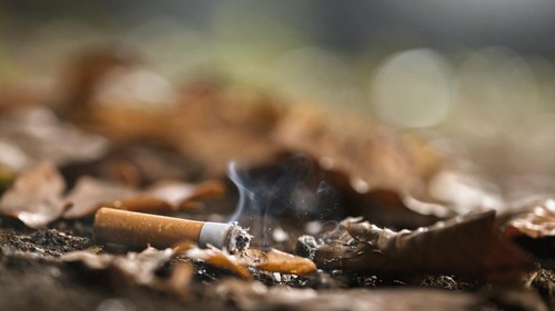 Close-up of cigarette butt on ground.
