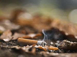 Bau Rokok di Rumah Bikin Tak Nyaman? Ini 6 Solusi Praktisnya
