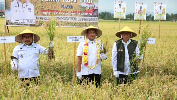 Mendagri panen raya di Banggai Sulteng.