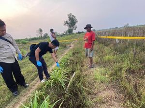 Ketahuan Curi Motor, Pria di Pesawaran Tewas Setelah Dihajar Massa