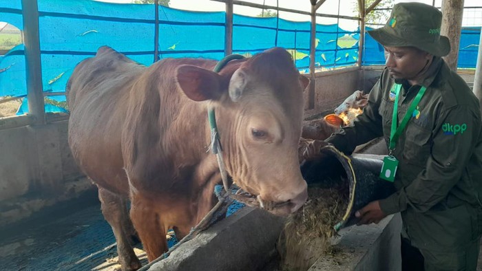 Peserta Petani Milenial Jabar.
