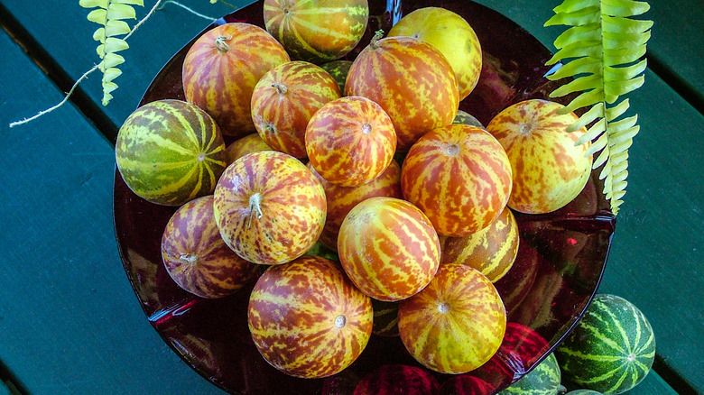 Queen Anne's Pocket, Melon yang Aromanya Manis Enak Mirip Parfum