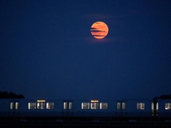 Rabu Besok Ada Strawberry Moon, Bulan Tampak Benderang