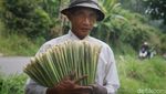 Asa di Jalur Puncak Dua