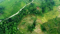 Foto udara Jalan Kampung Ciherang, Sukamakmur, Kabupaten Bogor yang akan menjadi bagian dari rute Jalur Puncak dua. Rencana pembangunan tersebut sudah bertahun-tahun lalu.