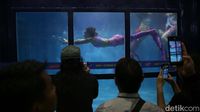 Berburu Peralatan Diving Di Pameran Deep Extreme Indonesia 2023