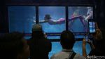 Berburu Peralatan Diving di Pameran Deep Extreme Indonesia 2023