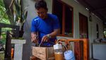 Budi Daya Lebah Madu Klanceng di Pekarangan Rumah
