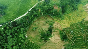 Asa di Jalur Puncak Dua