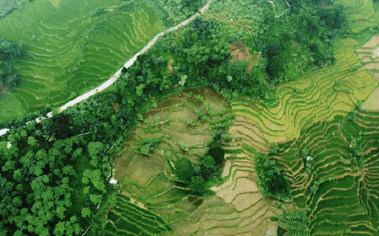 Asa di Jalur Puncak Dua