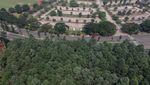 Merasakan Kesejukan Hutan Kota Pakansari Bogor