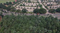 Keberadaan hutan kota di Kawasan Stadion Pakansari Cibinong diproyeksikan menjadi paru-paru Kabupaten Bogor, selain menjaga kelestarian, hutan kota bisa menjaga keserasian dan keseimbangan ekosistem di perkotaan. 