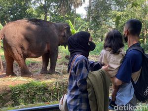 Yayasan Tuding PKBSI Tidak Tepat Jadi Pengelola Bandung Zoo