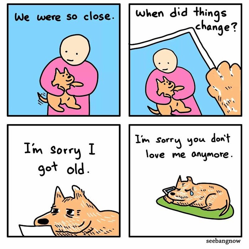 Deretan komik lucu soal kehidupan sehari-hari. Ini merupakan karya komikus Singapura, Xibang.