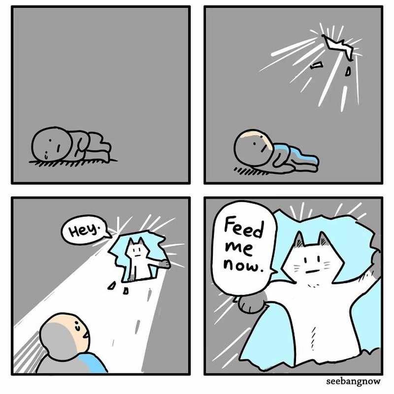 Deretan komik lucu soal kehidupan sehari-hari. Ini merupakan karya komikus Singapura, Xibang.