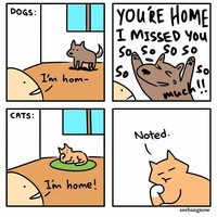 Deretan komik lucu soal kehidupan sehari-hari. Ini merupakan karya komikus Singapura, Xibang.