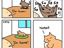 Deretan Komik Kocak Soal Kehidupan Sehari-hari