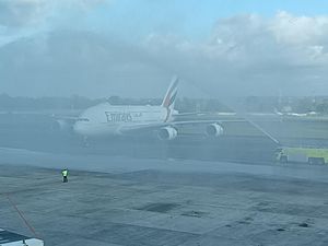 Bali Sepekan: Koster Marahi Bupati/Walkot-Pesawat Superjumbo Mendarat