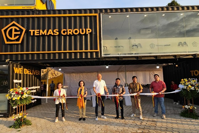 TEMAS GROUP