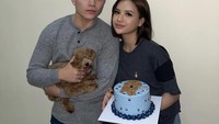  Biasanya ia selalu ditemani oleh kekasihnya, termasuk saat ulang tahun. Ia bahkan mendapat kejutan kue ulang tahun bergambar anjing kesayangannya Foto: Instsgram @anggimarito