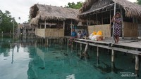 Dari depan homestay kita juga bisa snorkling karena airnya sangat jernih banyak ikan dan koral yg indah