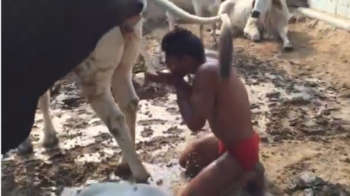 Ngaku Doyan Minum Urin Sapi, Binaragawan Ini Dikritik Tajam