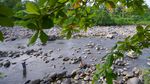 Kemarau Bikin Debit Sungai di Padang Berkurang Drastis