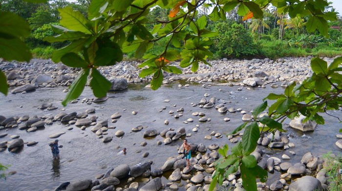 Debit air berkurang di sungai di Padang Warga mengambil batu di Sungai Batang Air Dingin Padang, Sumatera Barat, Sabtu (3/6/2023). Badan Meteorologi Klimatologi dan Geofisika (BMKG) memprediksikan musim kemarau tahun 2023 datang lebih awal di sejumlah daerah di Indonesia termasuk di Padang, sehingga berdampak pada debit air sungai mulai berkurang dan dangkal. ANTARA FOTO/Iggoy el Fitra/nym.