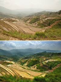 Foto Before After Photoshop