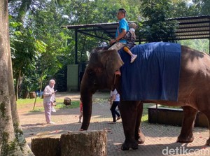 Yayasan Margasatwa Menang Gugatan di PTUN soal Penyegelan Lahan Bunbin!