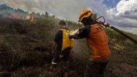 Berdasarkan data BPBD Provinsi Kalsel pada Mei 2023 luas kebakaran hutan dan lahan (Karhutla) yang melanda di Kalsel sekitar 42 hektare dan terus meluas.