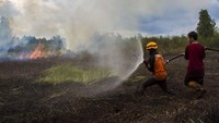 Petugas Badan Penanggulangan Bencana Daerah (BPDB) Provinsi Kalsel berupaya memadamkan kebakaran lahan di Kecamatan Liang Anggang, Banjarbaru, Kalimantan Selatan, Sabtu (3/6/2023).