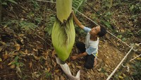 Bagaimana menurut Anda detikers?