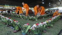 Para samaneri terlihat menyiram bunga jelang persiapan Waisak di Candi Sewu. ANTARA FOTO/Aloysius Jarot Nugroho