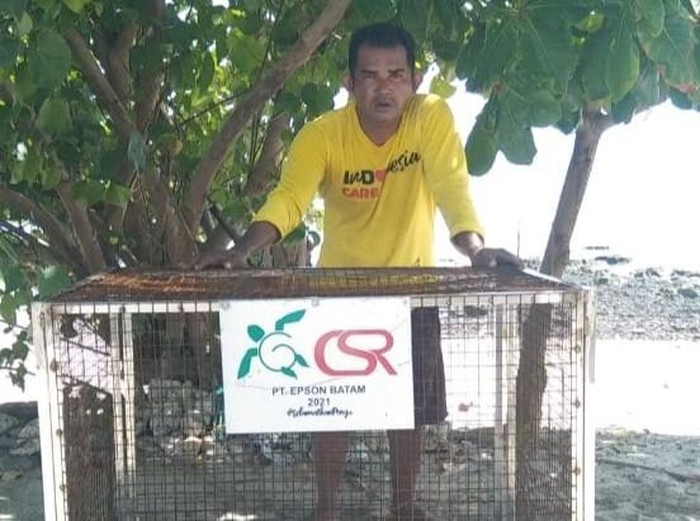 Busri atau Bujang menunjukkan pelindung sarang penyu agar tidak diganggu predator.