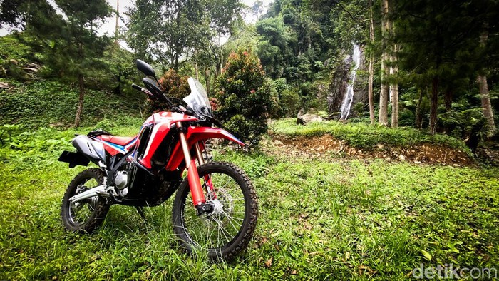 Honda CRF 250 В лесу