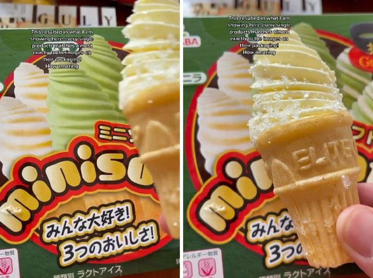 No Tipu-tipu Kalau Beli Makanan di Jepang, Sesuai Gambarnya