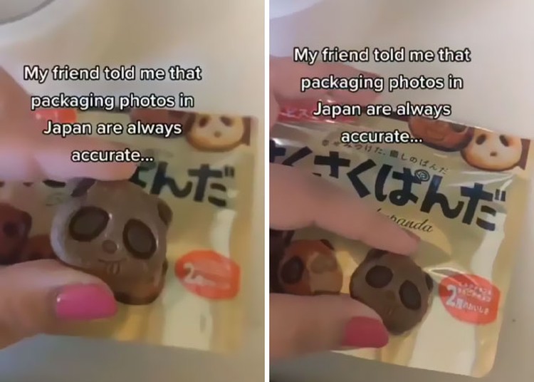 fotoinet Kerennya Jepang, Produk Iklan VS Aslinya 100% Akurat