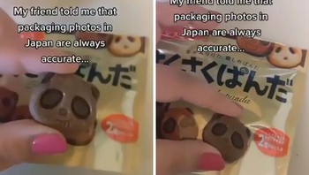 Di Jepang harapan vs realita sama. Foto: Boredpanda