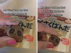 Kerennya Jepang, Gambar Iklan Makanan VS Aslinya 100% Akurat