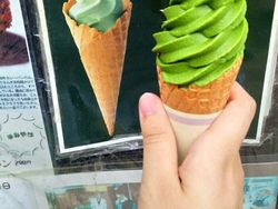 Kerennya Jepang, Gambar Iklan Makanan VS Aslinya 100% Akurat