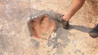 Jejak kaki dinosaurus di bantalan sungai Ntumbe, kawasan perburuan Chewore, Zimbabwe Utara. Diperkirakan, fosil jejak langkah karnivora Allosaurus serta herbivora Brachiosaurus di situs sebelahnya terbentuk dan terawetkan setelah menginjak lumpur yang mengering di perairan atau rawa pedalaman setempat, dikutip dari laman Zim Field Guide.Jejak kaki tersebut diperkirakan terbentuk di atas lumpur pasir berbutir halus. Air di atasnya meengering, lalu meninggalkan bekas injakan yang terlihat seperti hari ini. Panas hebat di awal periode Cretaceous memungkinkan jejak itu mengeras cepat. Sedimentasi selama jutaan tahun membuatnya tertutup lumpur, lalu terungkap lagi saat terjadi erosi sungai. Foto: David1701944 via Wikimedia Commons