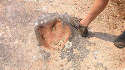 Potret Jejak Dinosaurus di Penjuru Dunia