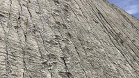  Kawasan ini kini jadi Cretaceous Park dengan replika dinosaurus di area masuk. Diperkirakan, jejak ini dibuat triceratops cula tiga, titannosaurus yang sangat besar, dan bayi-bayi dinosaurus karnivora alosaurus. Jejak langkah dinosaurus di batuan ngarai Cal Orcko, Bolivia berusia 68 juta tahun, dari periode Cretaceous Atas.Sekitar 68 juta tahun lalu, letusan sangat besar dari gunung api melontarkan jutaan meter kubik abu ke angkasa. Saat jatuh ke jejak kaki yang baru dibuat, abu vulkanik membentuk lapisan tebal yang melindunginya dari erosi aeolik dan pluvial. Jika tidak, jejak kaki dinosaurus itu akan terhapus dalam hitungan jam, kata Klaus Schutt, penemu jejak ini, seperti dikutip dari situs Konvensi Warisan Dunia UNESCO.Foto: Jerry Dakin via Wikimedia Commons