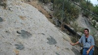 Umumnya, jejak kaki besar, lebar, jari tiga di area Cretaceous 470 ini adalah jejak Caririchnium leonardii, yaitu jejak dinosaurus jenis iguanodontid (besar, berahang panjang, herbivora). Lokasinya di sebelah jalan tol modern Interstate 470 alias Dinosaur Freeway. Kawasan ini menjadi bagian rangkaian Situs Dinosaurus Megatrack dengan jejak di Wester Interior Seaway dan tepi timur Pegunungan Rocky.Pelapukan beku-cair merusak jejak dinosaurus ini. Untuk itu, struktur atap singkap diupayakan berdiri untuk melindungi jejak purba ini. Foto: James St John via Wikimedia Commons