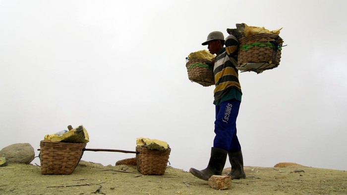 Penambang memikul belerang di Gunung Ijen, Banyuwangi, Jawa Timur, Minggu (4/5/2023). Menurut penambang, jumlah penambang belerang aktif di kawah Ijen saat ini sekitar 30 orang atau turun dari sebelumnya sekitar 200 orang pada tahun 2008 karena tingginya risiko keselamatan dan kini mereka beralih profesi menjadi pemandu wisata. ANTARA FOTO/Budi Candra Setya/tom.